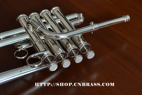 美國蓋琴高音小號3916S 卓越性能與精湛工藝的完美融合